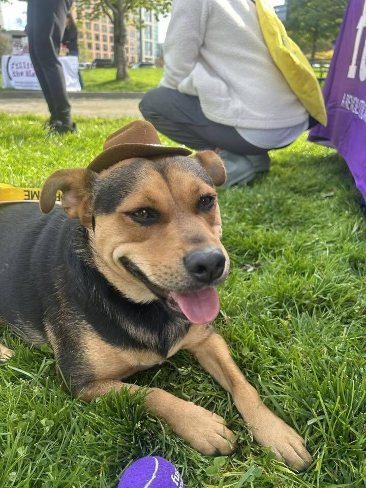 Paisley Tx thumbnail 2