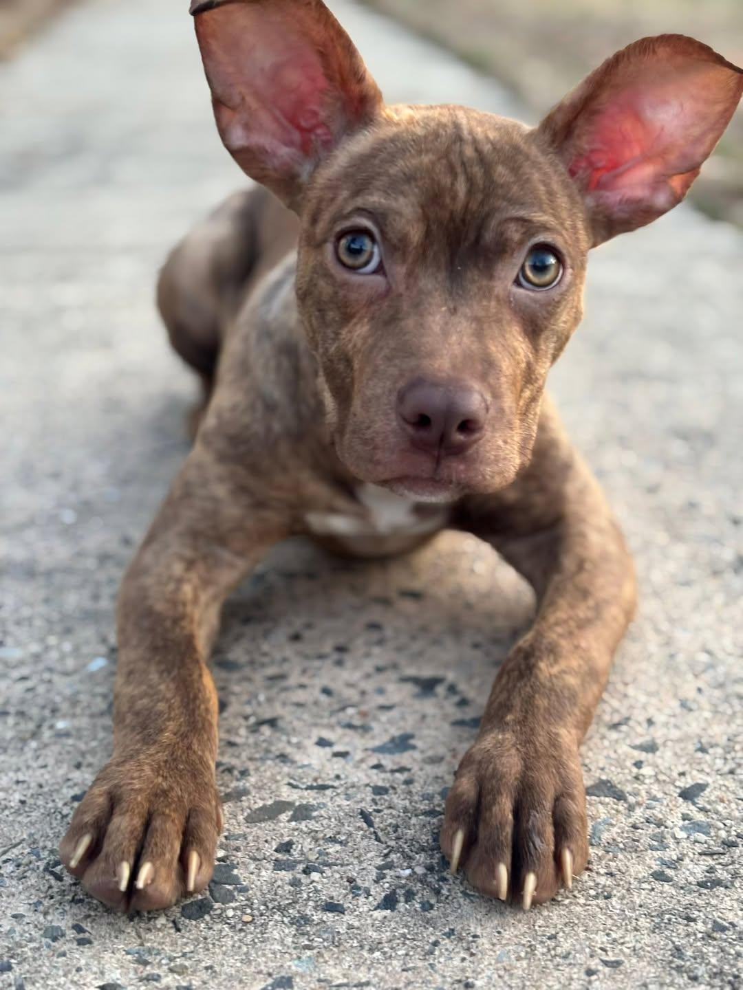 Clara — thumbnail 3