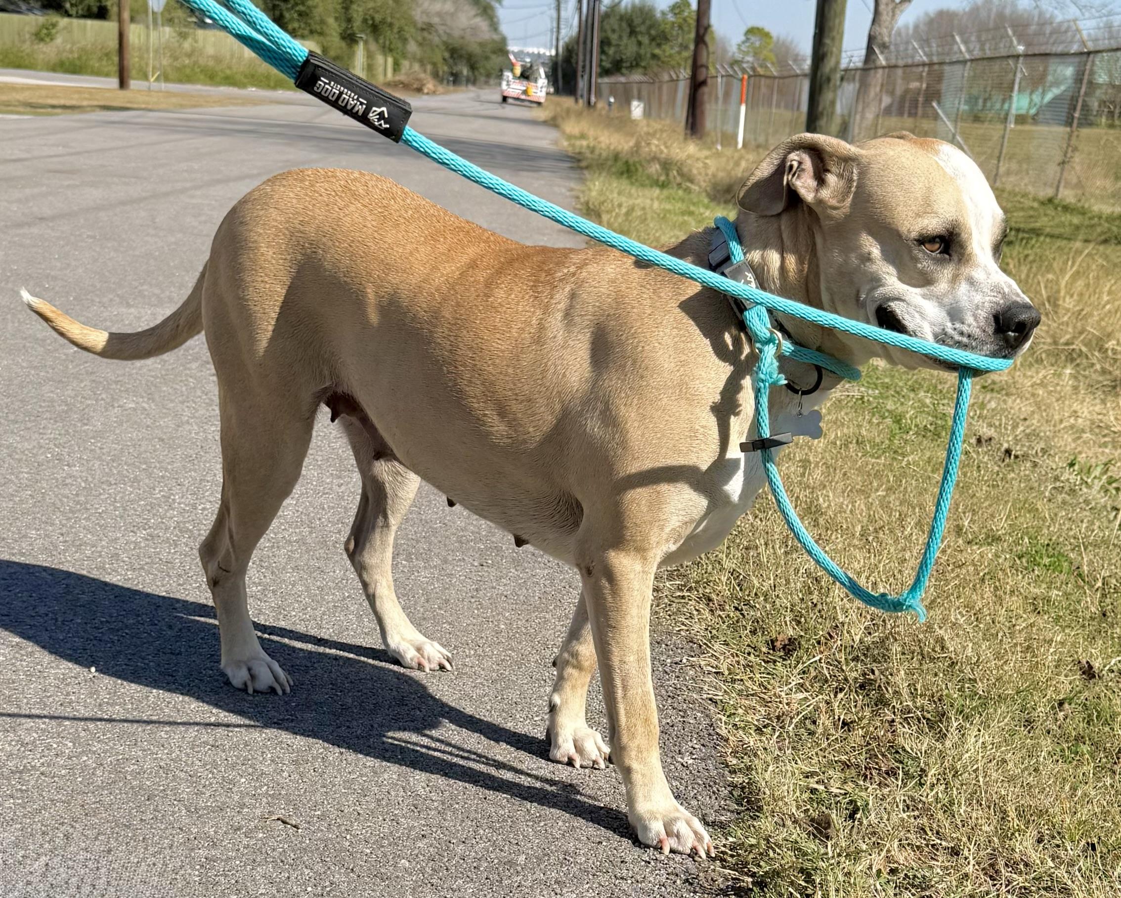 Wynn — thumbnail 4