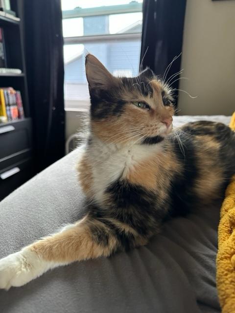 Peaches 2