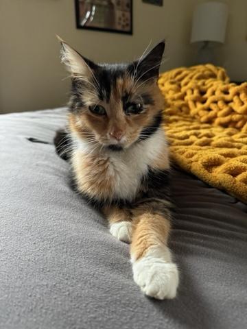 Peaches 5