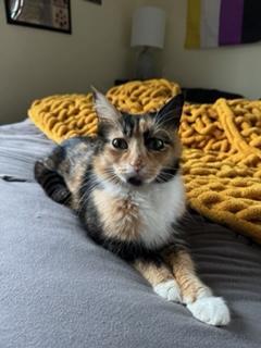 Peaches