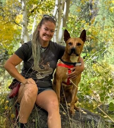 Enlarge Bingo, a Adoptable Mixed Breed in Portola, CA image 1/3