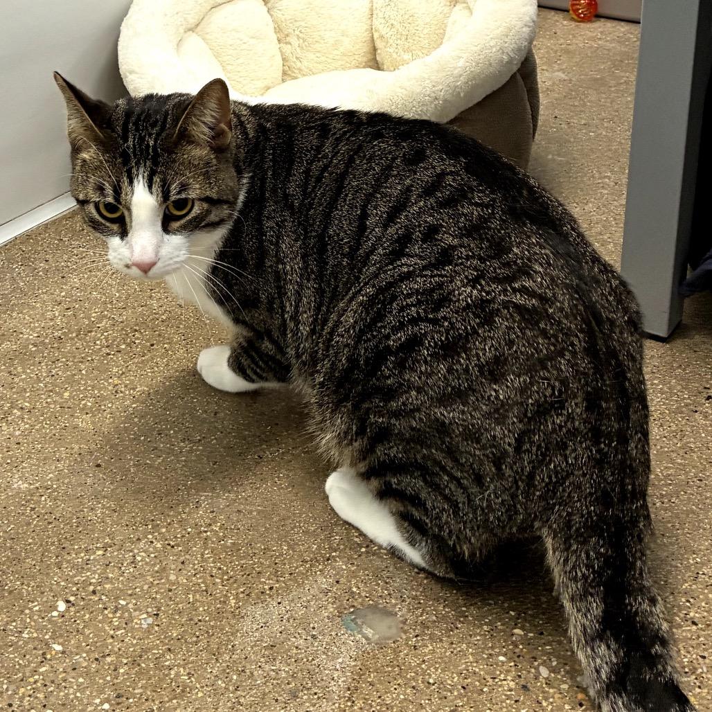 Burt (c2026) — thumbnail 3