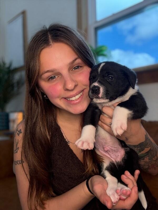 Apollo Space — thumbnail 2