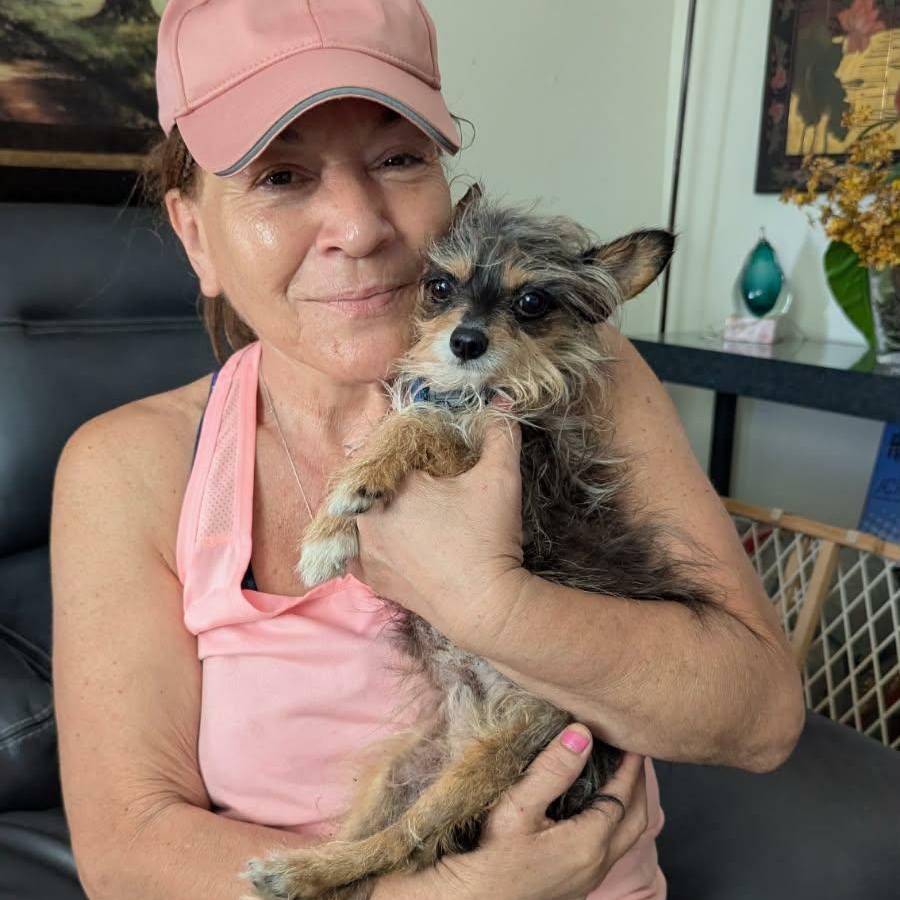 Enlarge Tom, an adopted Yorkshire Terrier in Williston, VT image 5/6