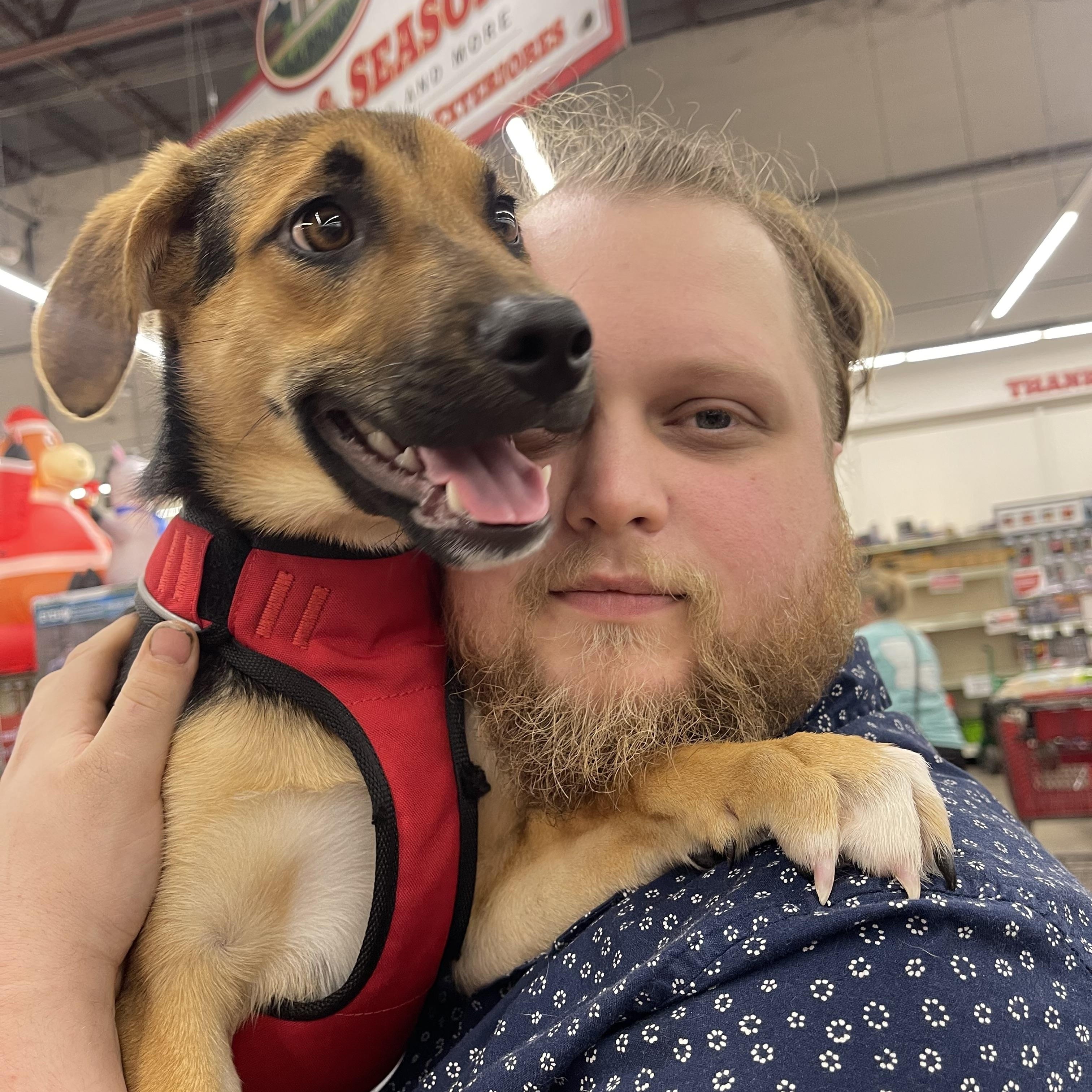 Freya, an adopted mixed breed in Wilmington, NC image 2/6