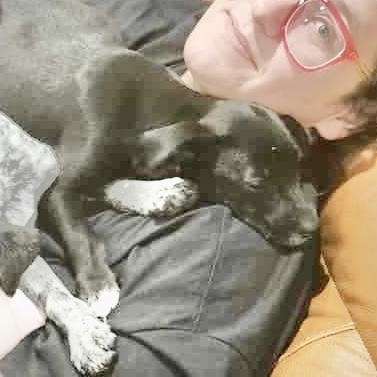 Pistachio , a Adoptable mixed breed in Vancouver , WA image 4/5