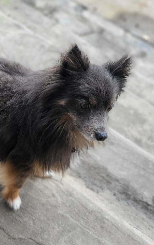 Peggy — thumbnail 2