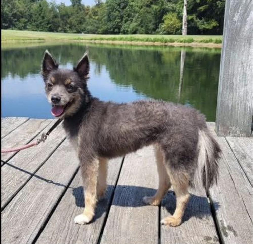 Peggy — thumbnail 3