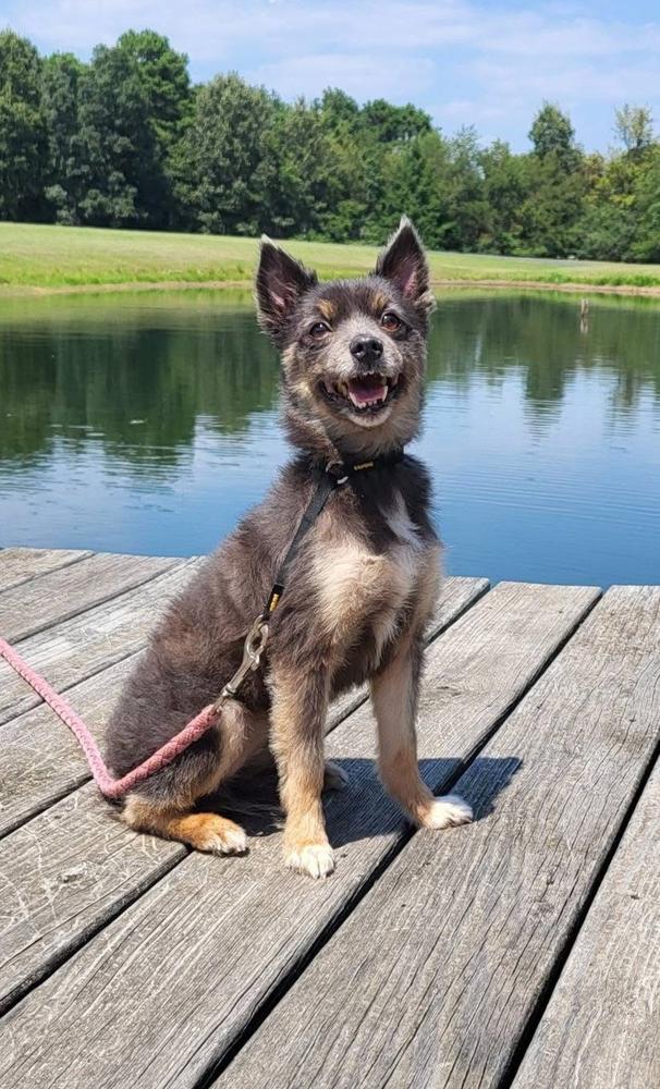 Peggy — thumbnail 4