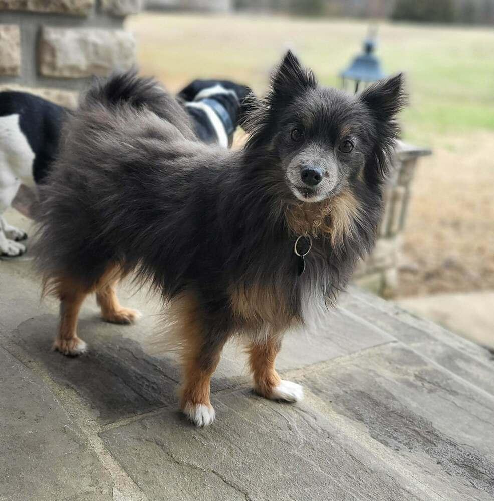 Peggy — thumbnail 5