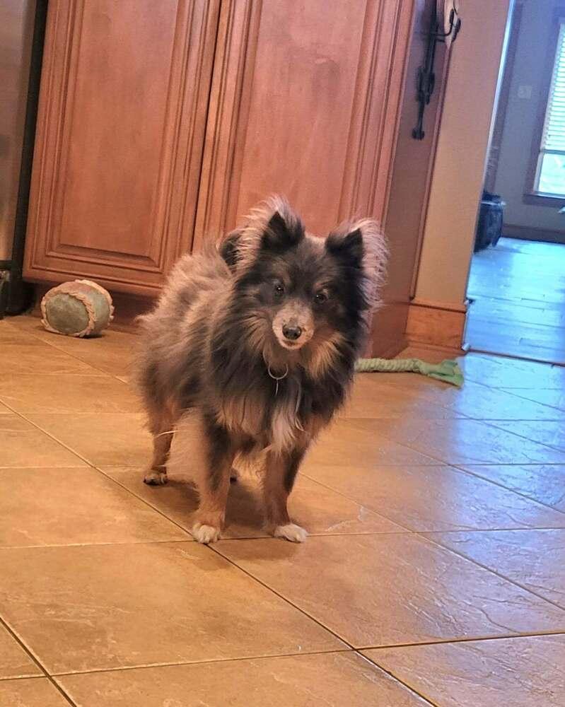 Peggy — thumbnail 6