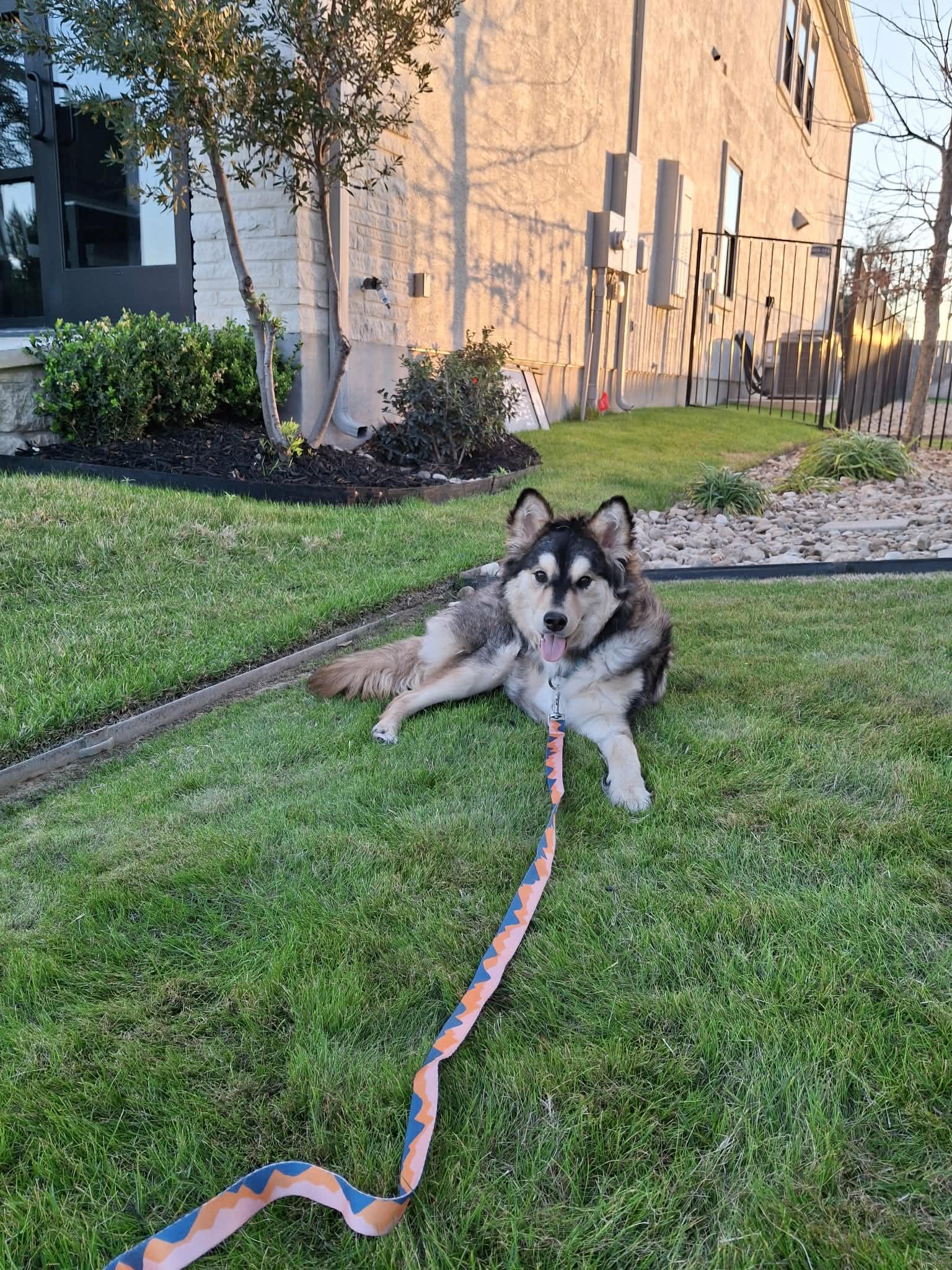 Sunny — thumbnail 5