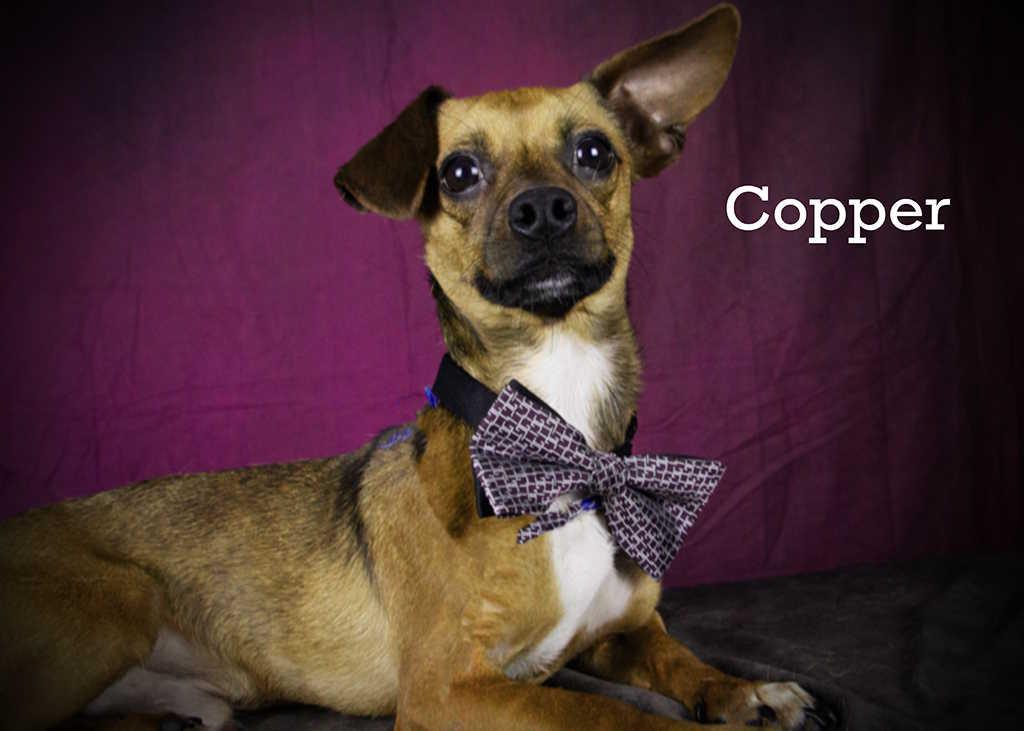 Copper