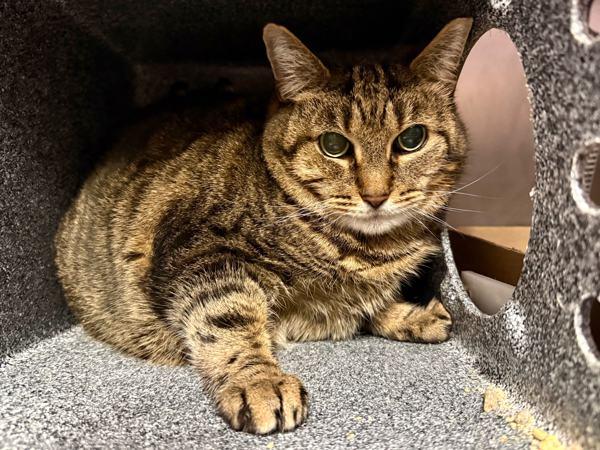 Sebastian — thumbnail 3