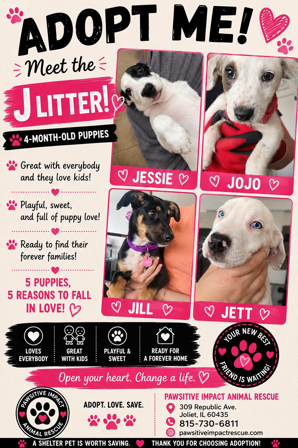 J litter -( 3 girls 1 boy ), ADOPTABLE, Puppy Female Cattle Dog.
