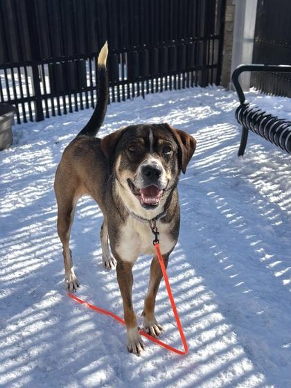 Cherry Pie — thumbnail 3