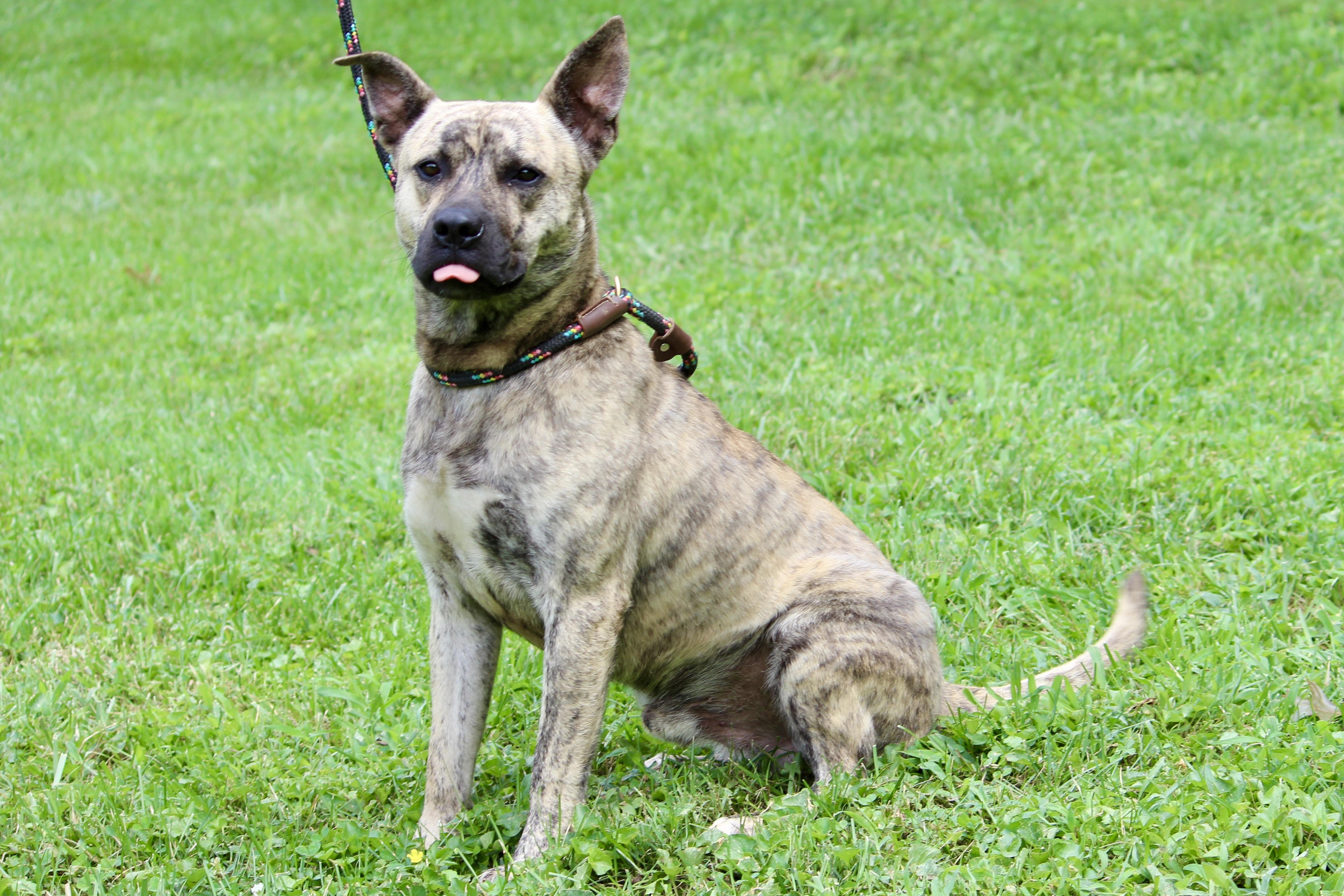 RIPLEY — thumbnail 2