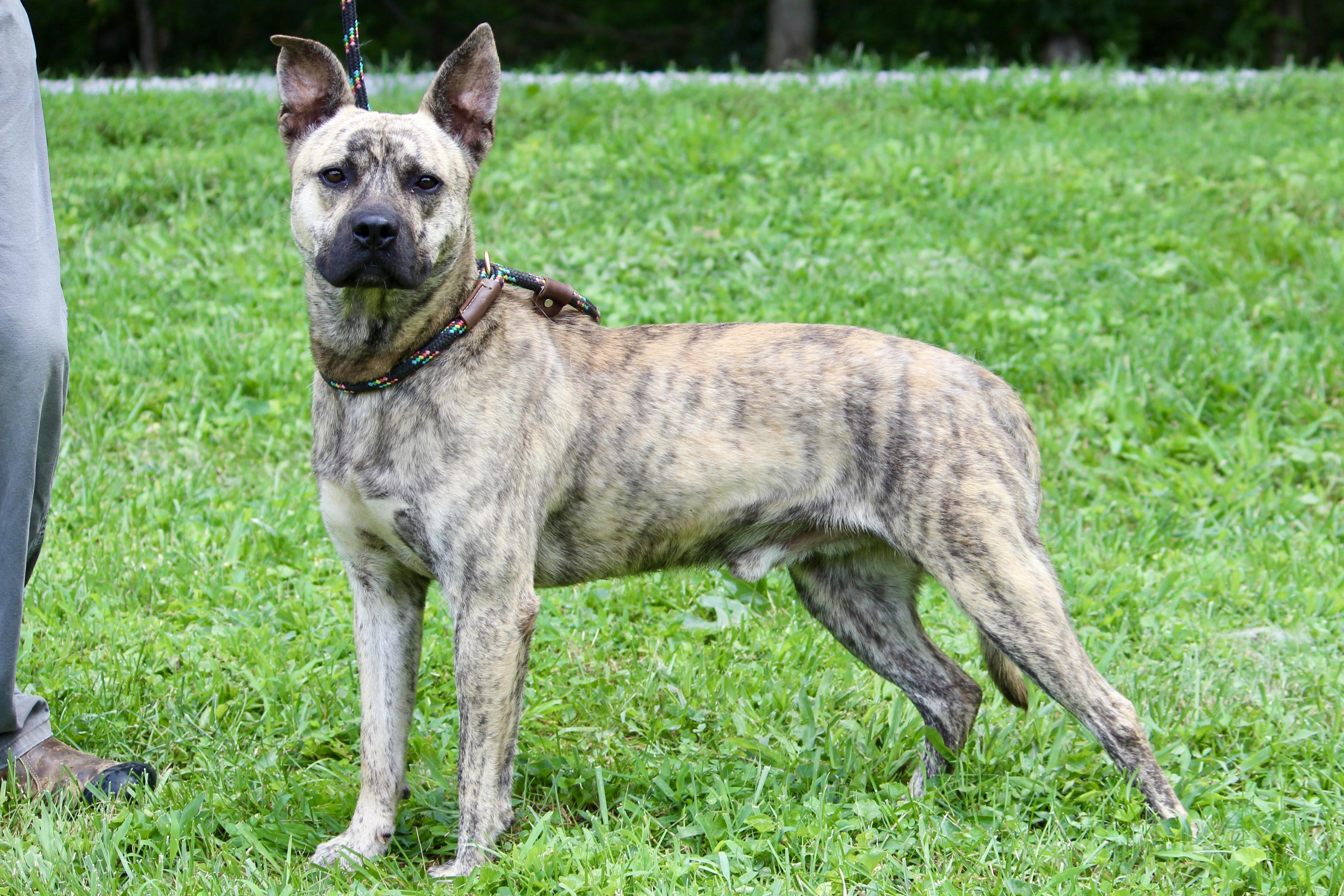 RIPLEY — thumbnail 3