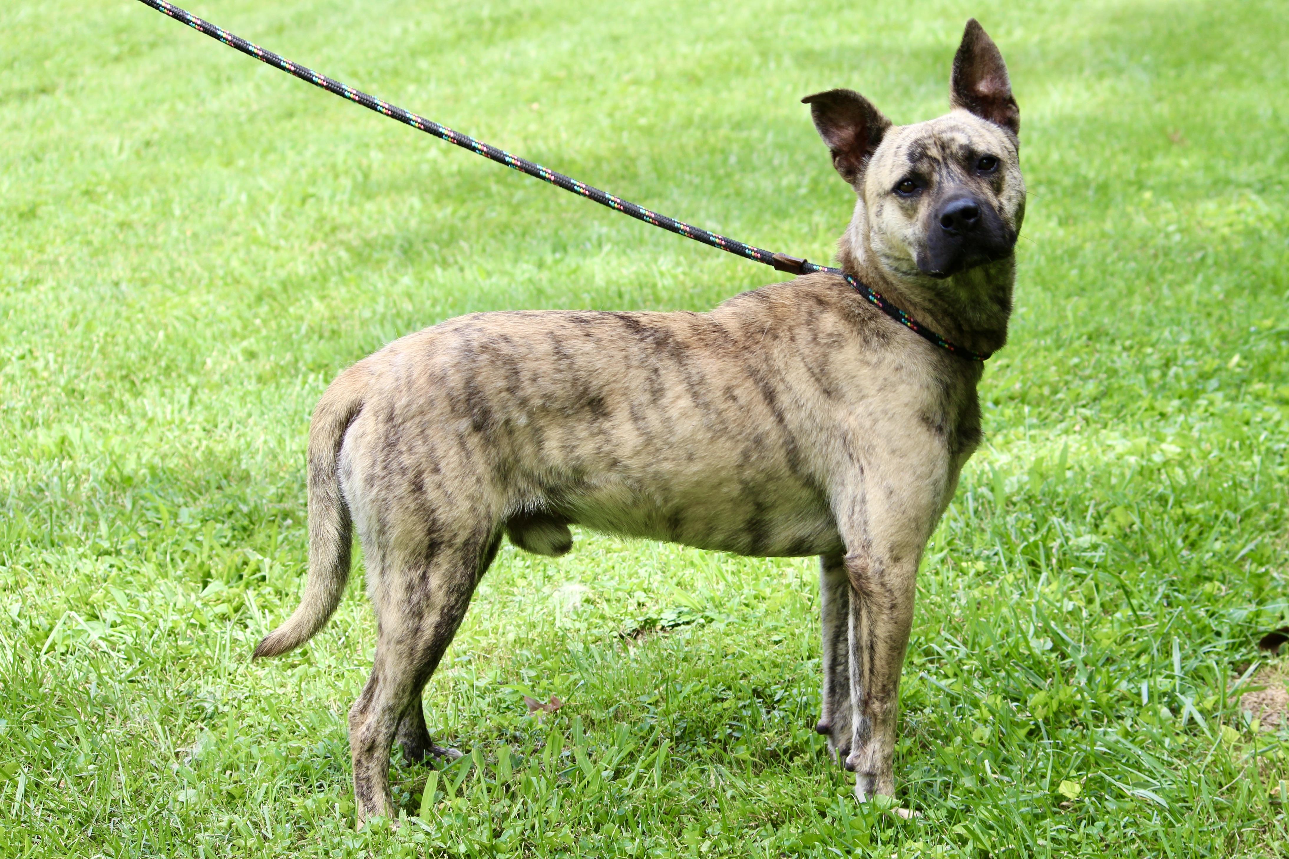 RIPLEY — thumbnail 4