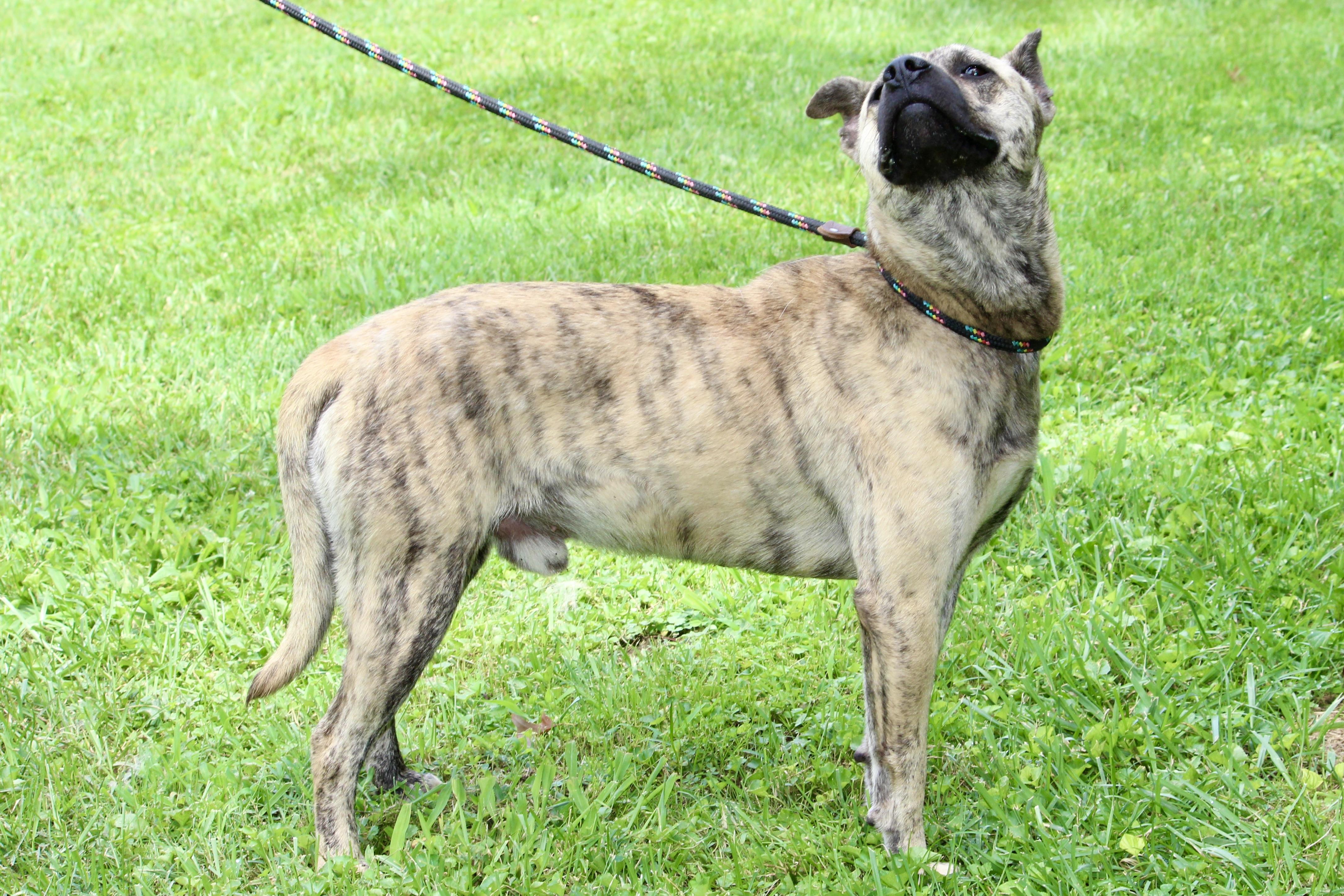 RIPLEY — thumbnail 5