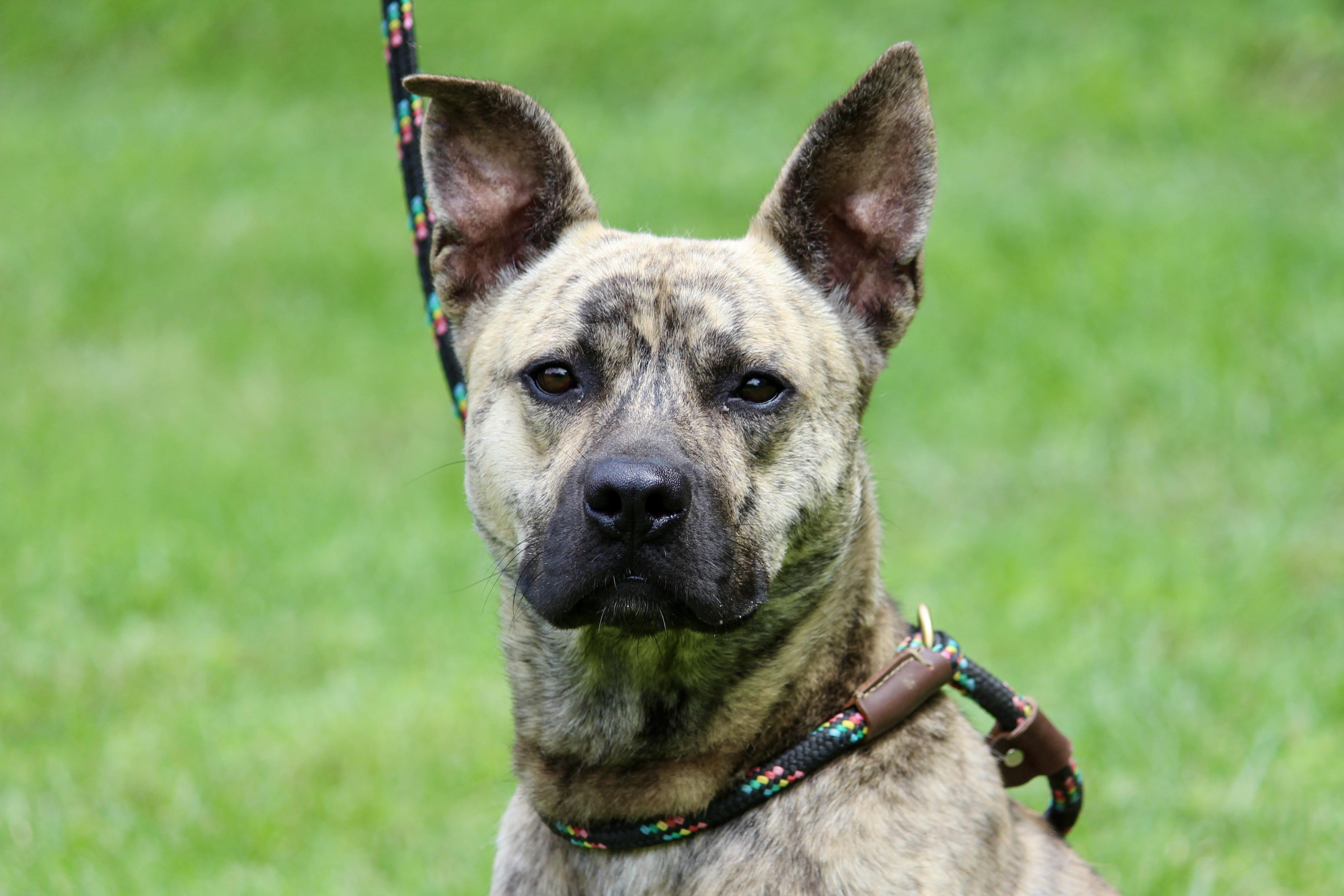 RIPLEY — thumbnail 6