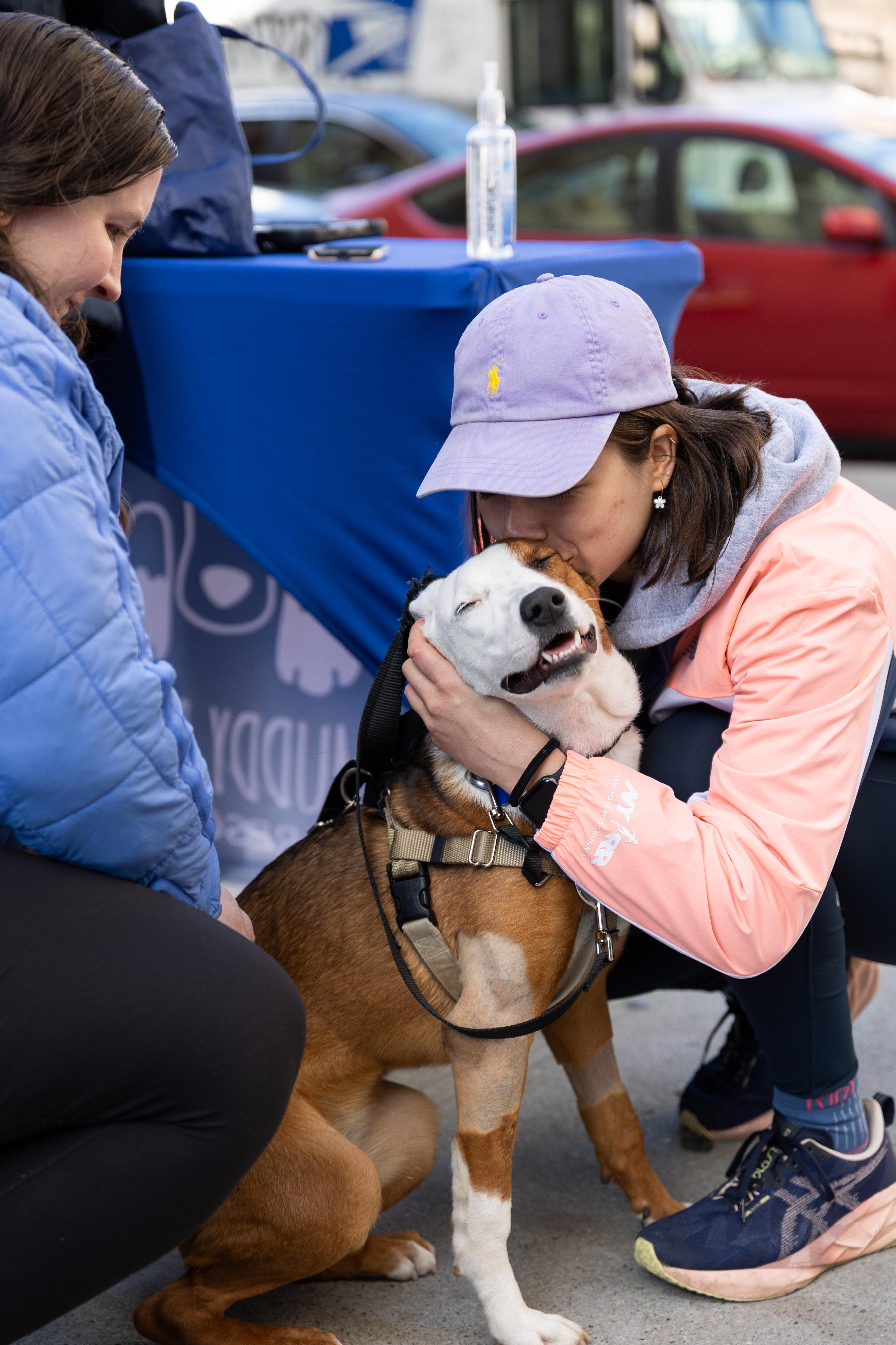 Enlarge Faith, a ADOPTABLE Mixed Breed in Mount Laurel, NJ image 2/3