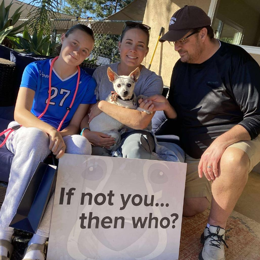 Meep — thumbnail 2