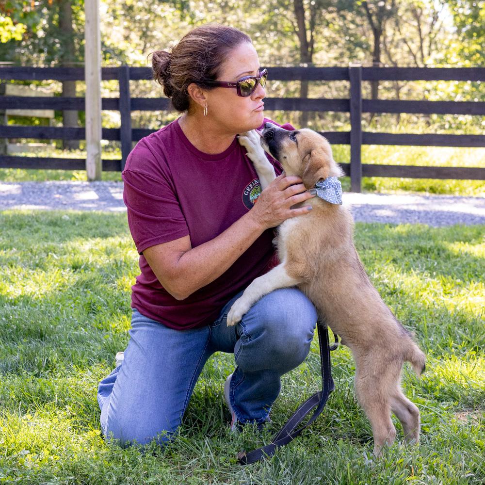 Enlarge Jet (Male), a Adoptable mixed breed in West Grove, PA image 3/6
