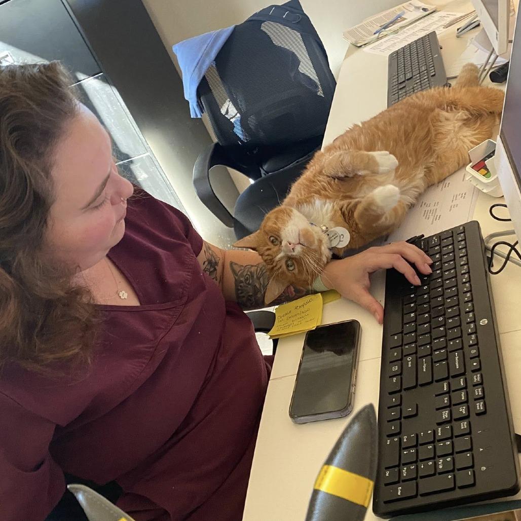 Mittens — thumbnail 6