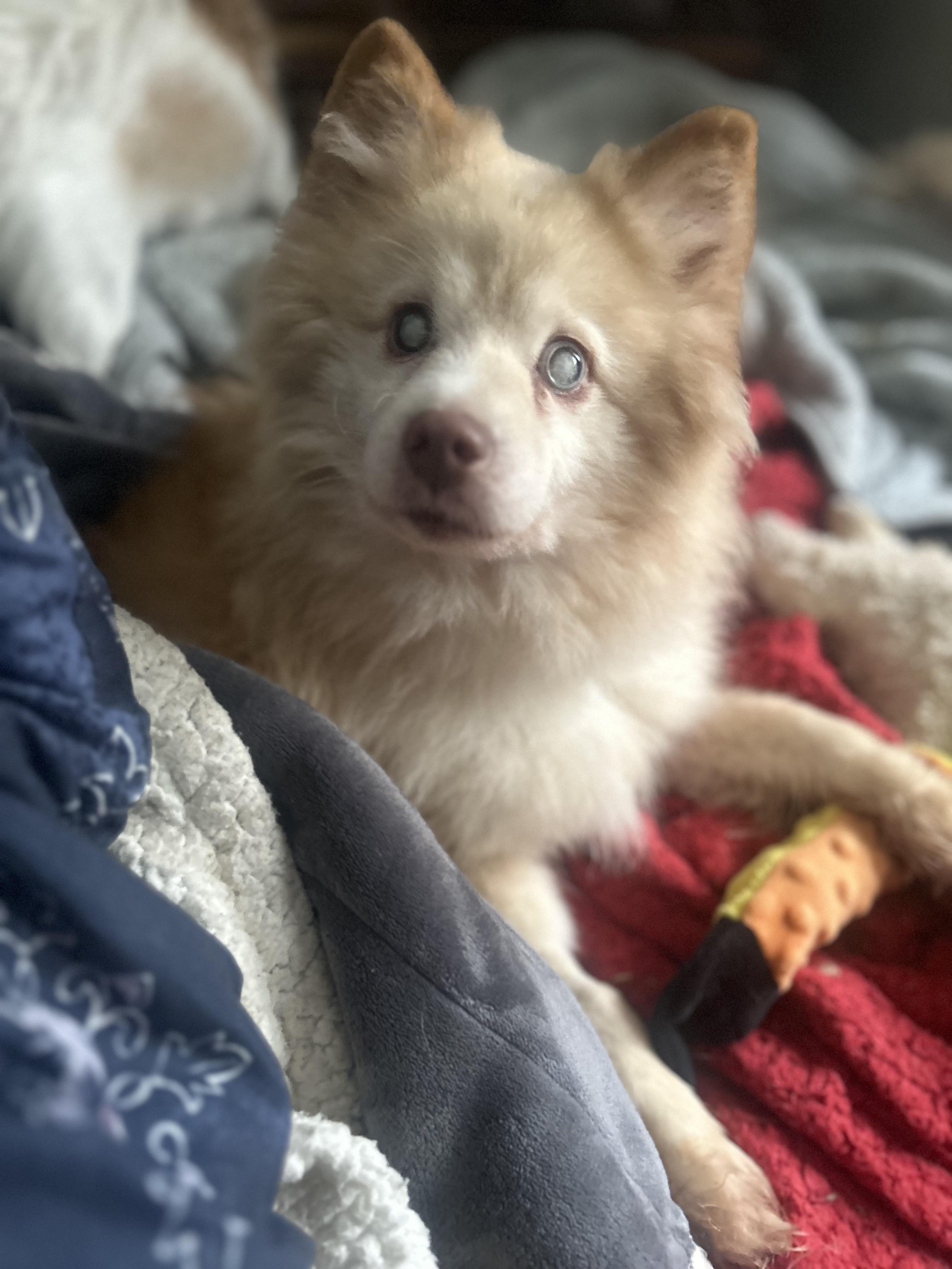 Sweet Seniors — thumbnail 4