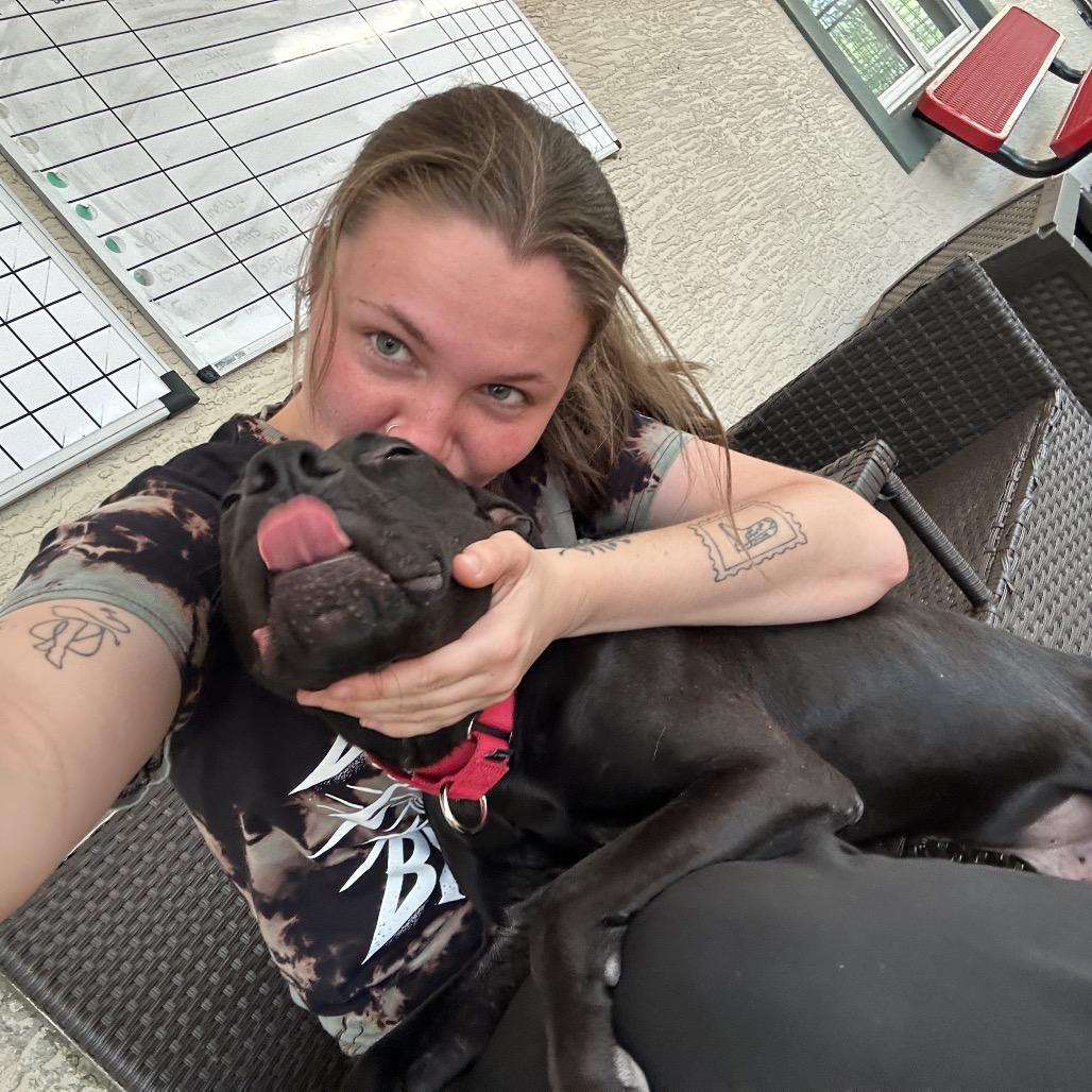 Enlarge McGraw, a Adoptable Mixed Breed in Titusville, FL image 6/6