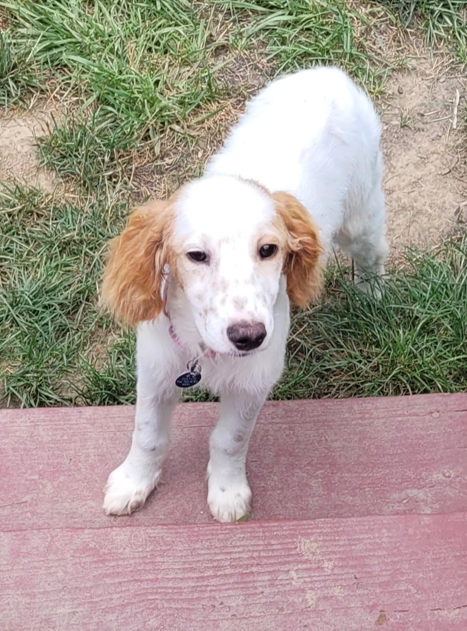 Rosie