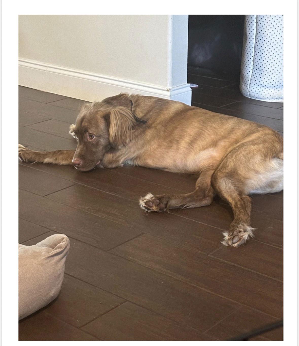 Stitch * — thumbnail 2