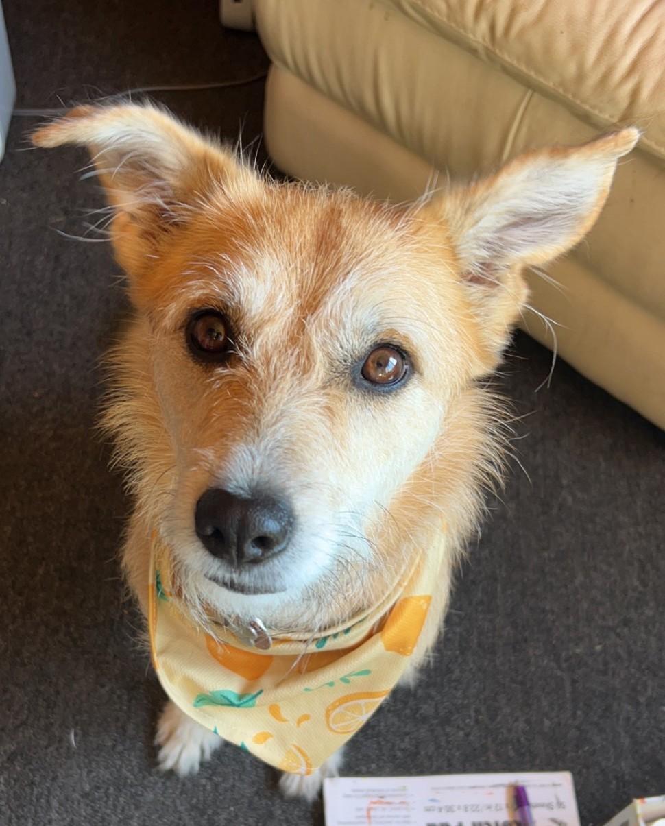 Cora  ~courtesy post~