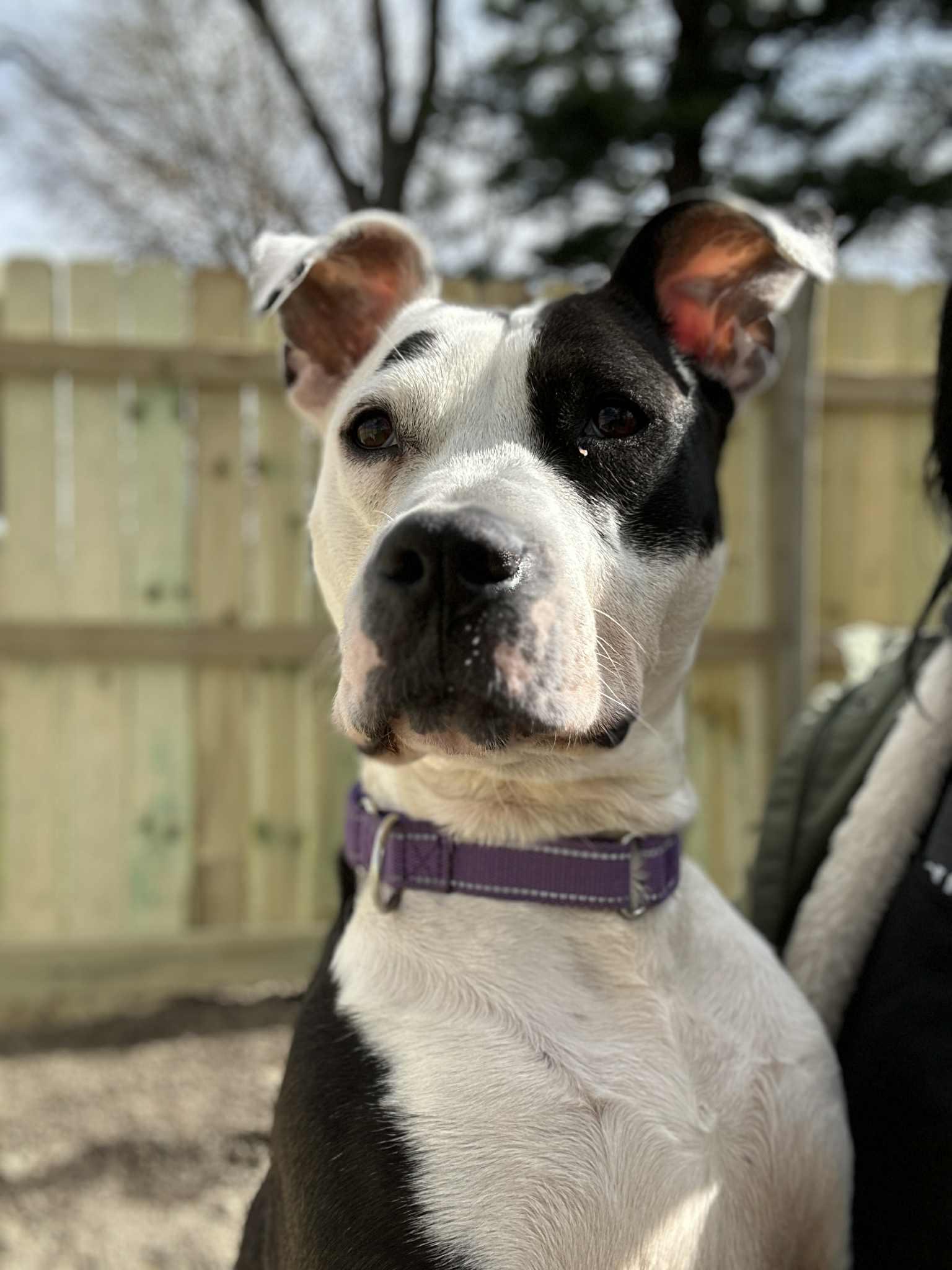 Xena, Young Female unknown