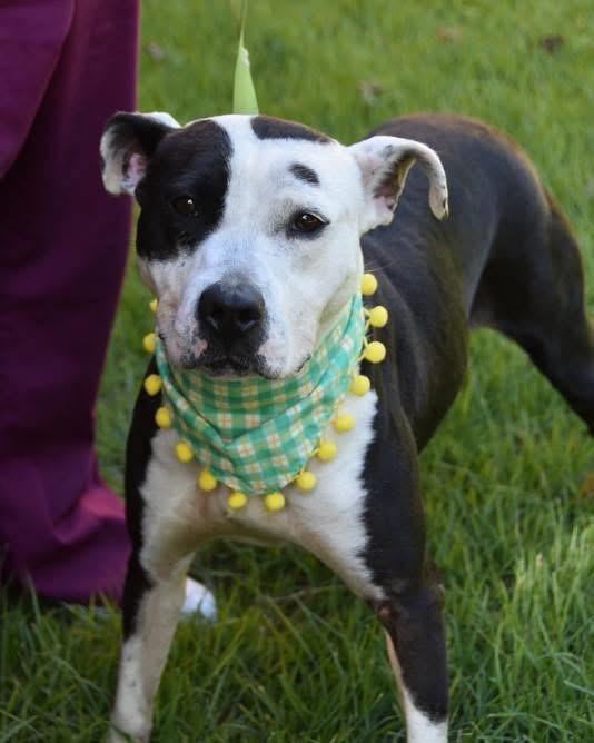 Xena photo 3