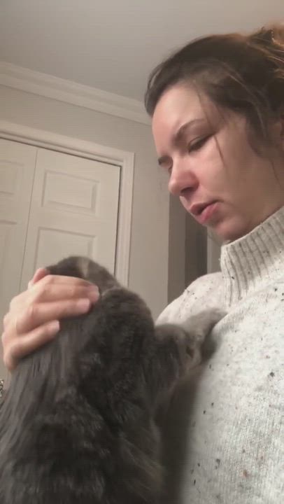 Enlarge Hubert, a Adopted Domestic Medium Hair in Terrebonne, QC video 5/9