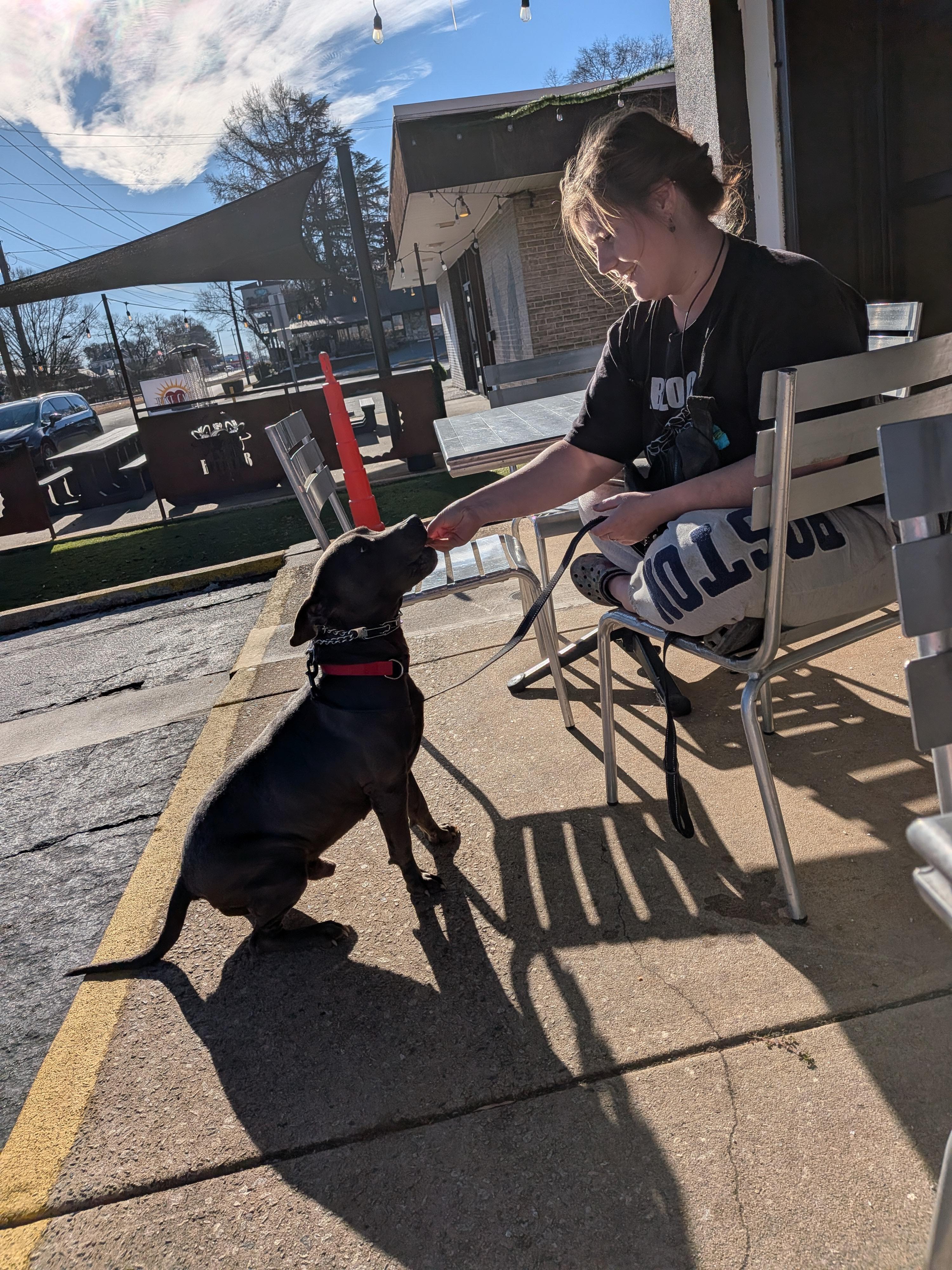 Bubba, a ADOPTABLE mixed breed in Statesville, NC image 3/6