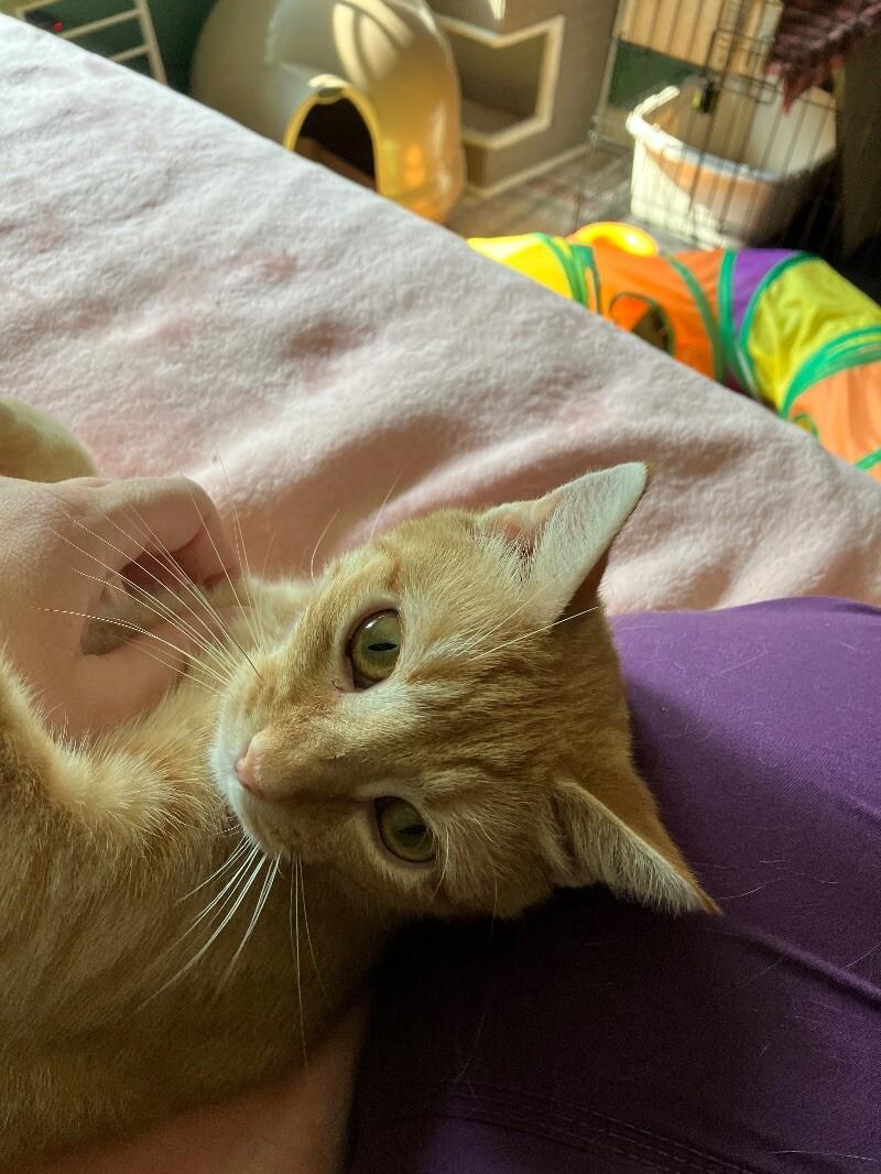 Jane — thumbnail 2