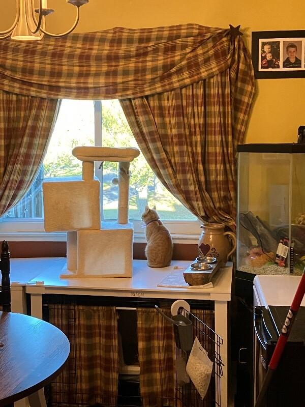 Jane — thumbnail 3