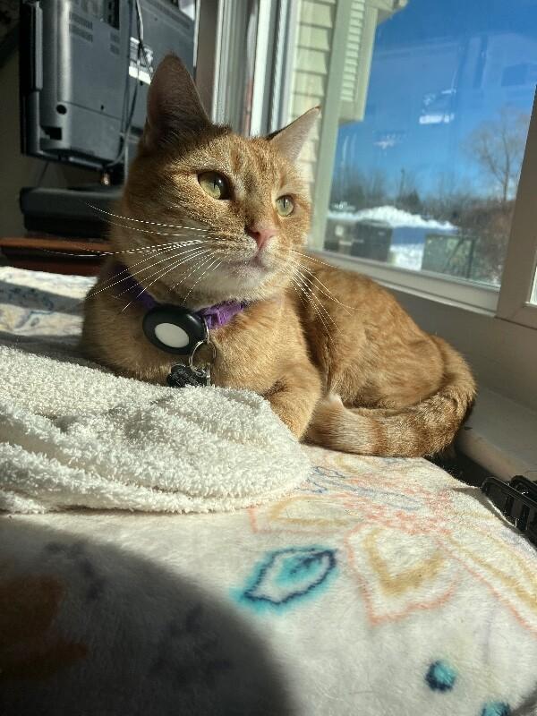 Jane — thumbnail 4