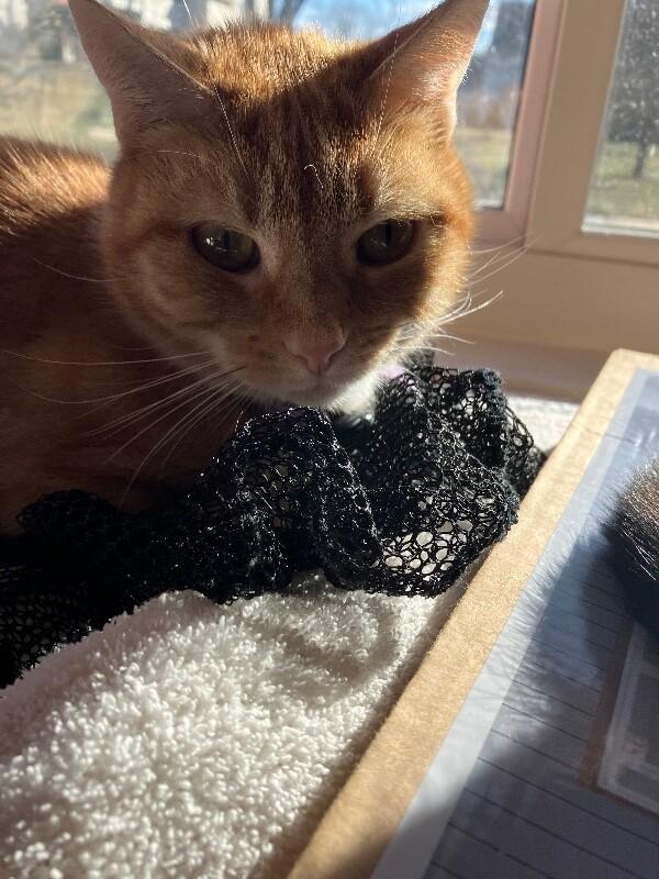 Jane — thumbnail 5