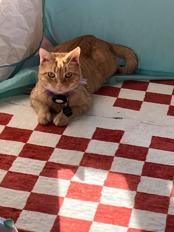 Jane — thumbnail 6