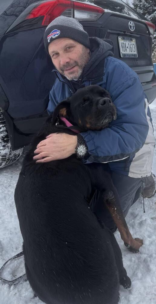 Enlarge Rita, a Adoptable mixed breed in Amherst, NY image 5/6