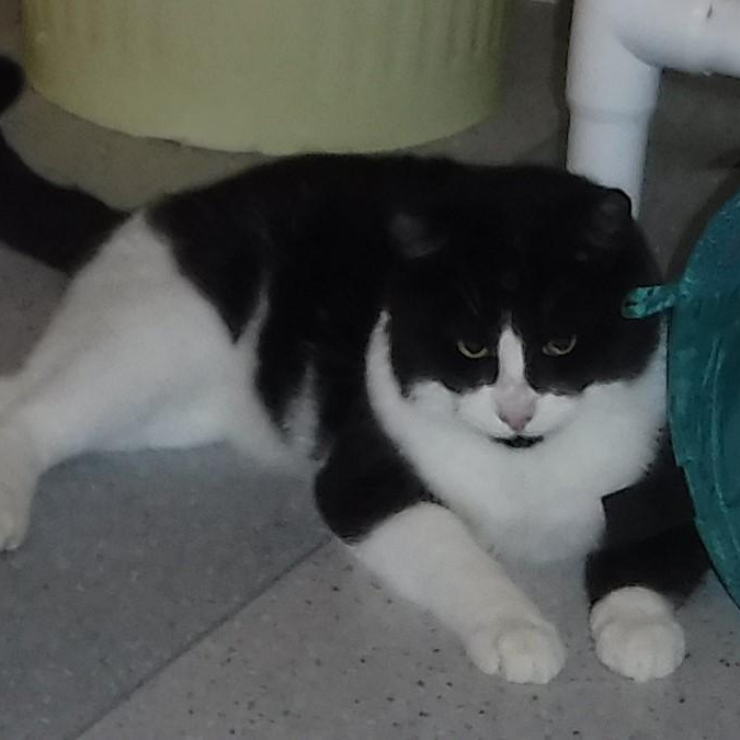 Claude  Big & thumbnail 5