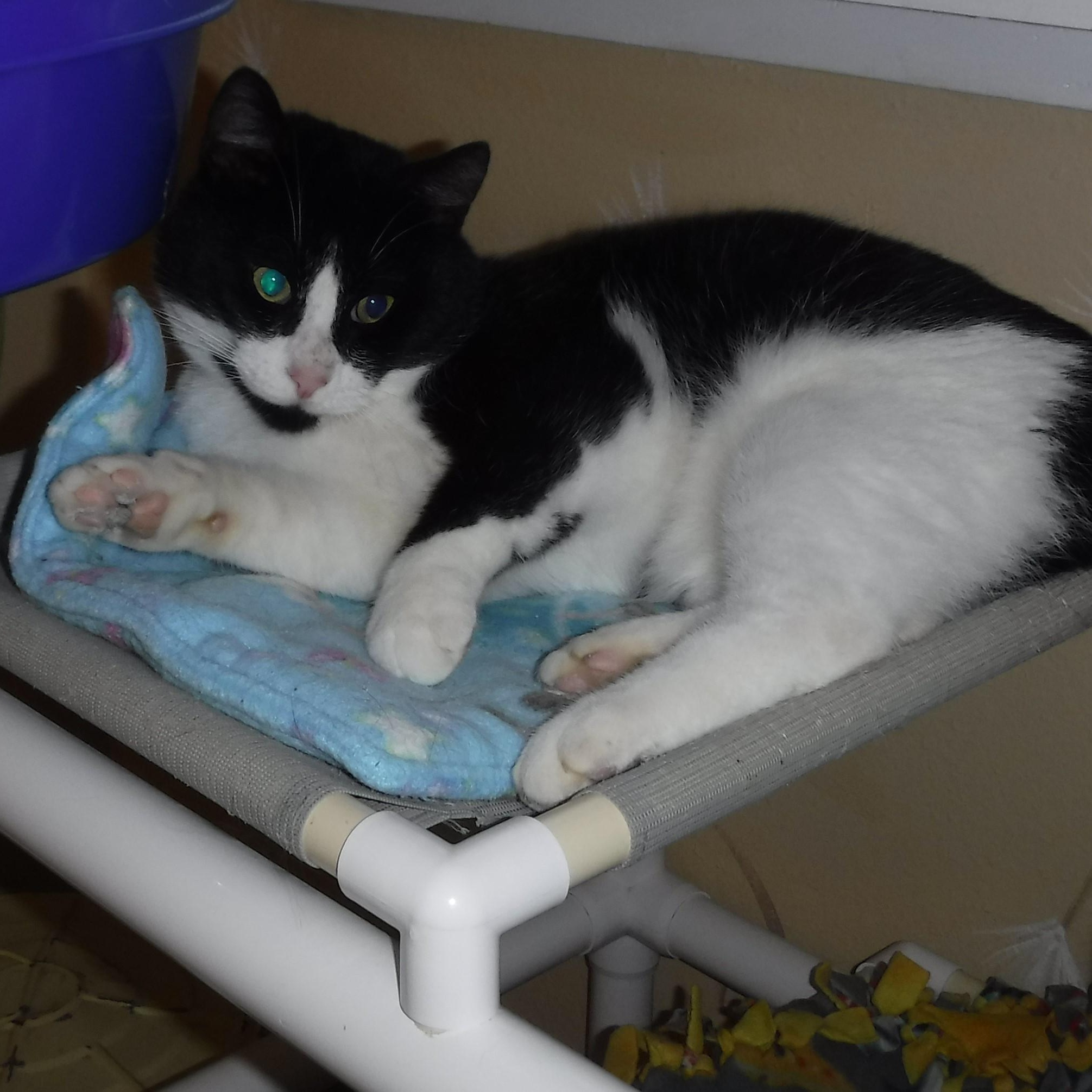 Claude  Big & thumbnail 6