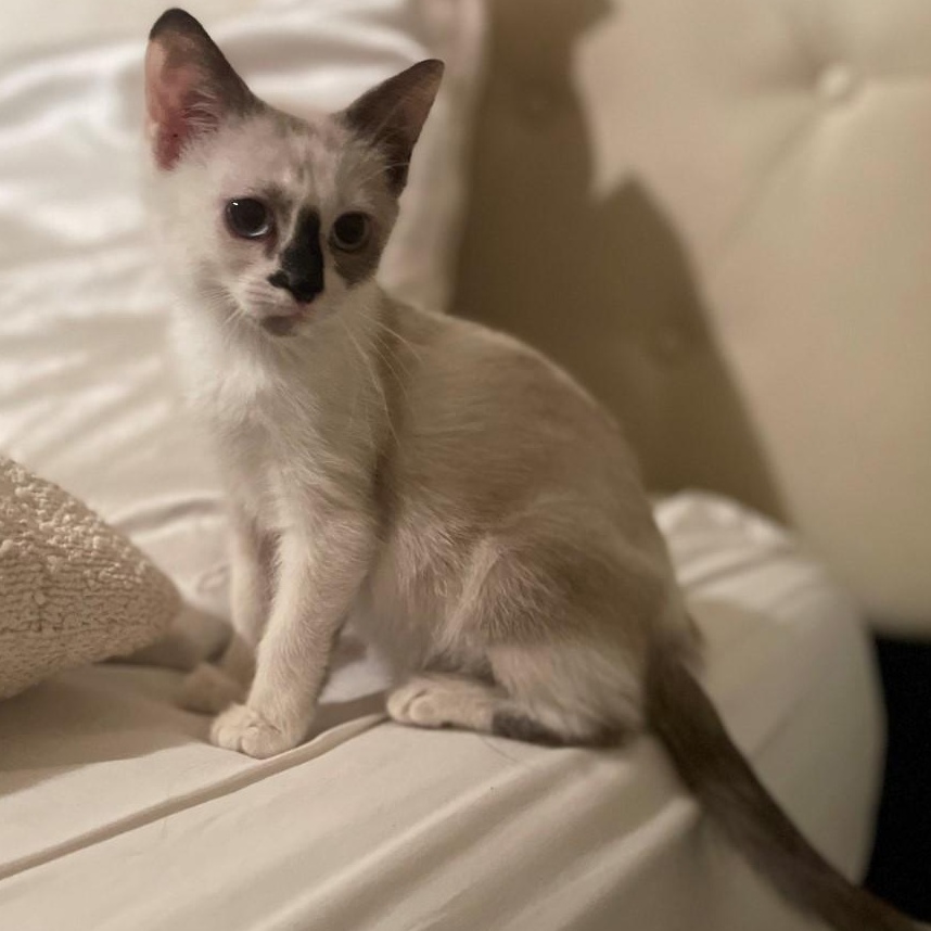 Geraldine Vanourek thumbnail 2