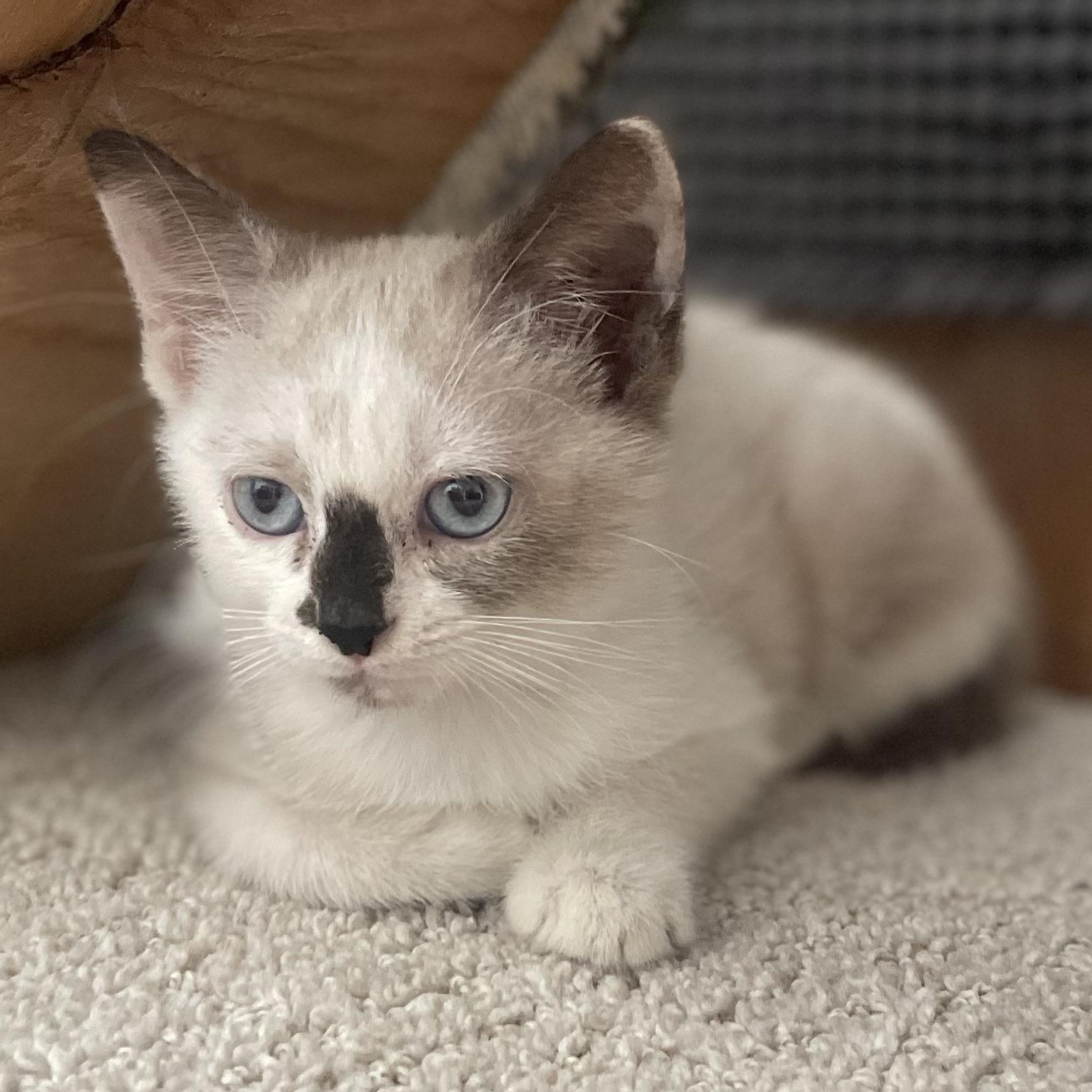 Geraldine Vanourek photo 1